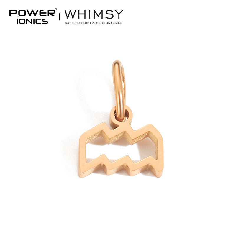 POWER IONICS Creativity Zodiac Pet Love Star Key 316 Stainless Steel Small Pendants Accessories Gifts Fits WHIMSY Series Bracelet Necklace