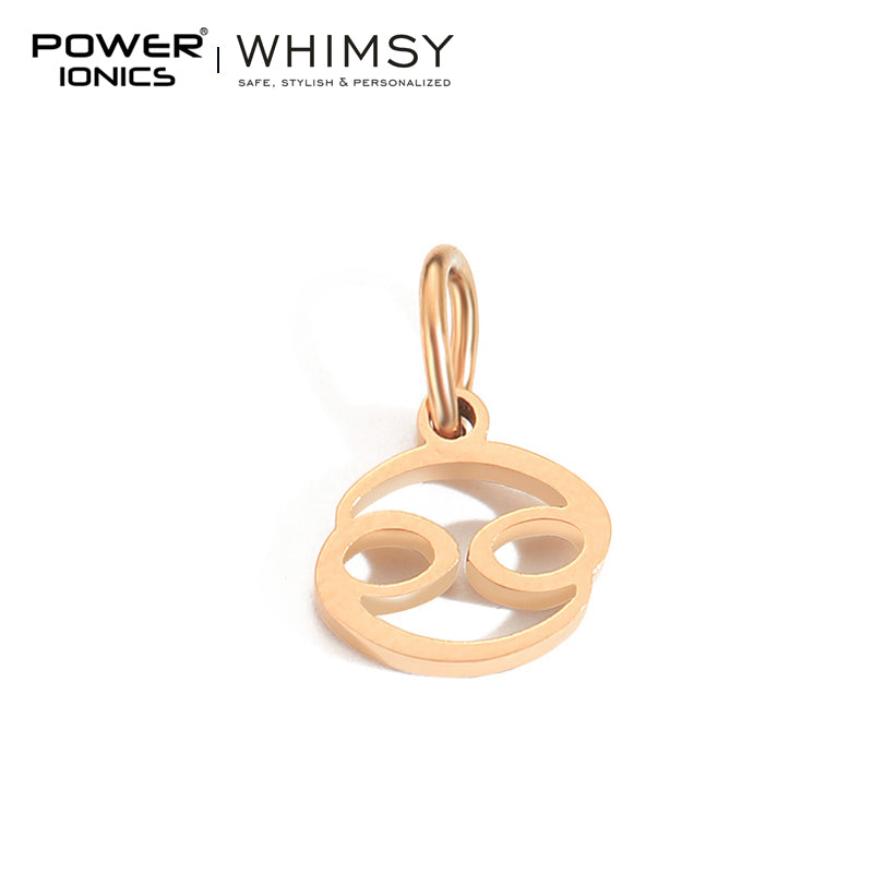 POWER IONICS Creativity Zodiac Pet Love Star Key 316 Stainless Steel Small Pendants Accessories Gifts Fits WHIMSY Series Bracelet Necklace