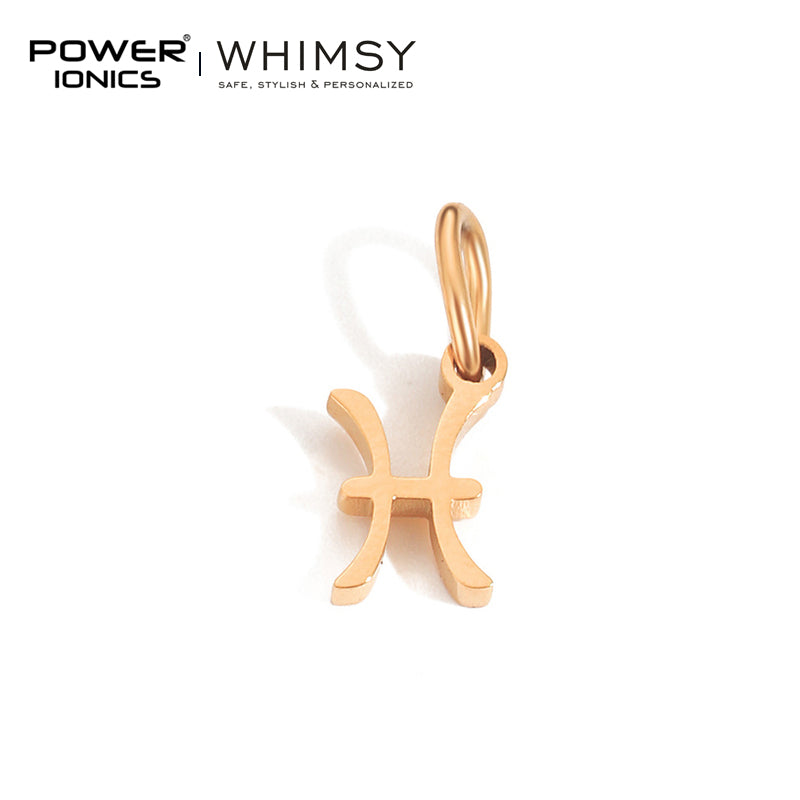 POWER IONICS Creativity Zodiac Pet Love Star Key 316 Stainless Steel Small Pendants Accessories Gifts Fits WHIMSY Series Bracelet Necklace