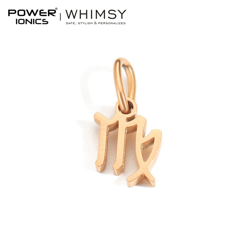 POWER IONICS Creativity Zodiac Pet Love Star Key 316 Stainless Steel Small Pendants Accessories Gifts Fits WHIMSY Series Bracelet Necklace