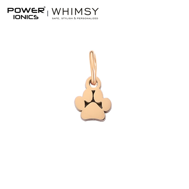 POWER IONICS Creativity Zodiac Pet Love Star Key 316 Stainless Steel Small Pendants Accessories Gifts Fits WHIMSY Series Bracelet Necklace