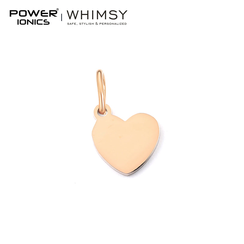 POWER IONICS Creativity Zodiac Pet Love Star Key 316 Stainless Steel Small Pendants Accessories Gifts Fits WHIMSY Series Bracelet Necklace