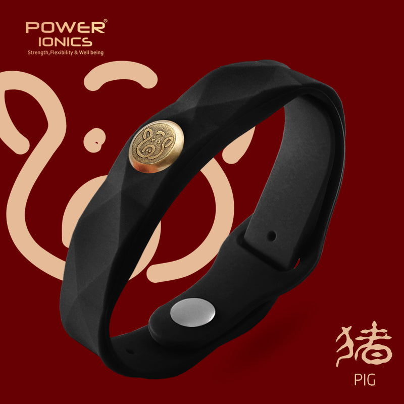 파워 아이오닉스 12 조디악 방수 음이온 스포츠 패션 3000 음이온 팔찌