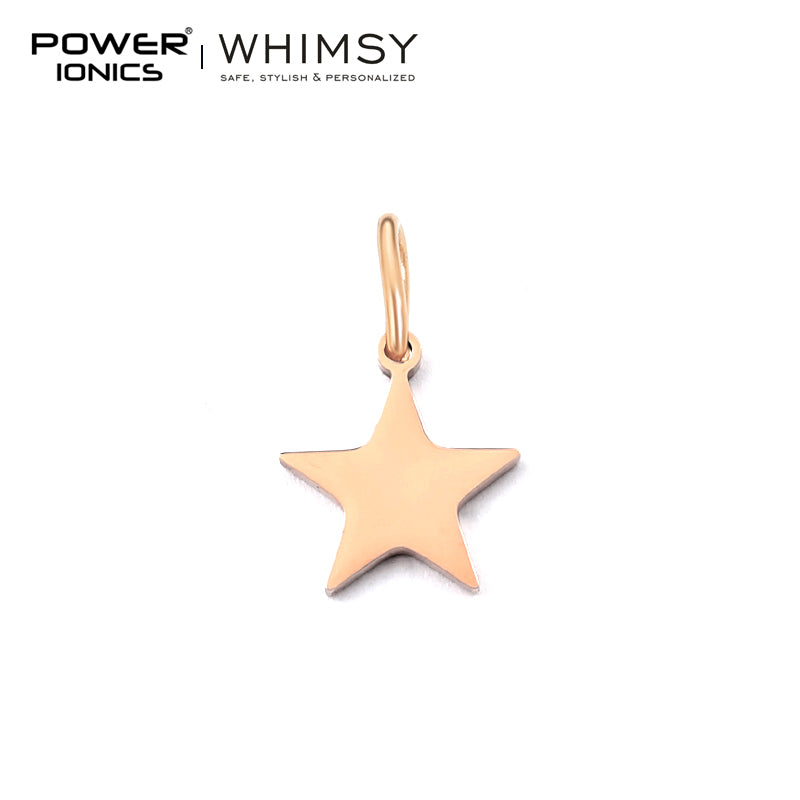 POWER IONICS Creativity Zodiac Pet Love Star Key 316 Stainless Steel Small Pendants Accessories Gifts Fits WHIMSY Series Bracelet Necklace - Powerionics