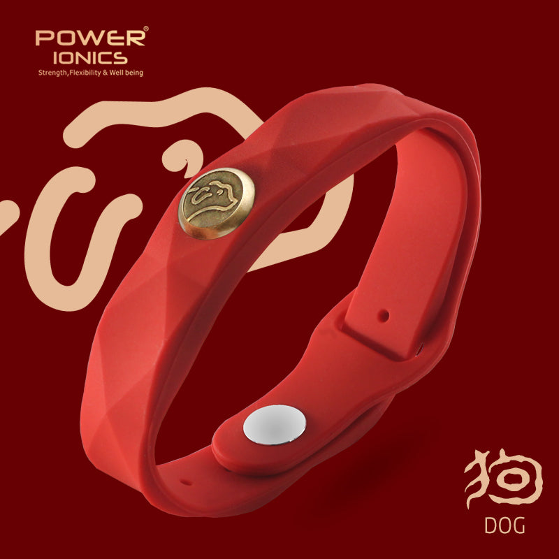 Power Ionics 12 Zodiac Waterproof Anions Sports Fashion 3000 Anions Bracelet