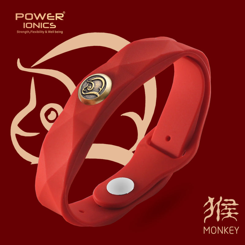 Power Ionics 12 Zodiac Waterproof Anions Sports Fashion 3000 Anions Bracelet