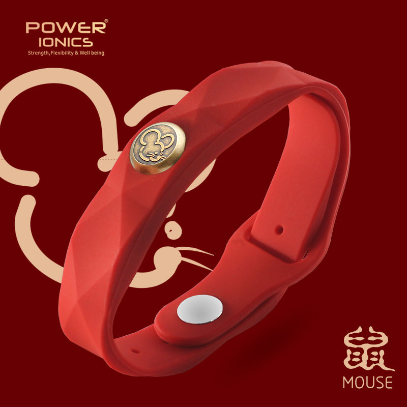 Power Ionics 12 Zodiac Waterproof Anions Sports Fashion 3000 Anions Bracelet