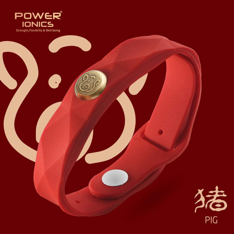 Power Ionics 12 Zodiac Waterproof Anions Sports Fashion 3000 Anions Bracelet