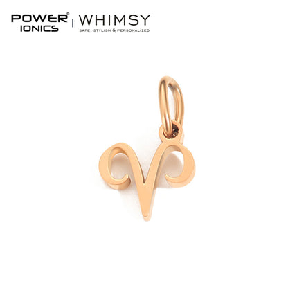 POWER IONICS Creativity Zodiac Pet Love Star Key 316 Stainless Steel Small Pendants Accessories Gifts Fits WHIMSY Series Bracelet Necklace