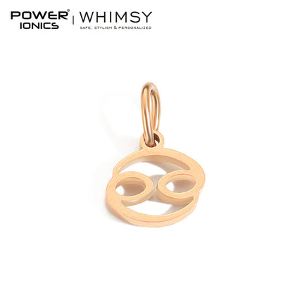 POWER IONICS Creativity Zodiac Pet Love Star Key 316 Stainless Steel Small Pendants Accessories Gifts Fits WHIMSY Series Bracelet Necklace