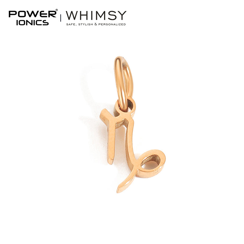 POWER IONICS Creativity Zodiac Pet Love Star Key 316 Stainless Steel Small Pendants Accessories Gifts Fits WHIMSY Series Bracelet Necklace