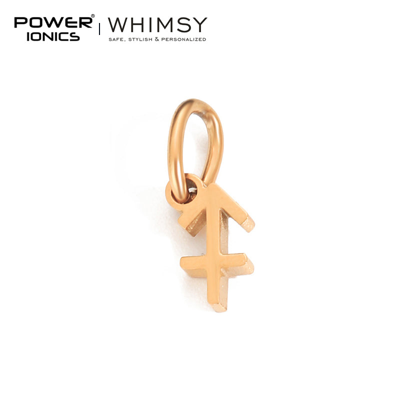 POWER IONICS Creativity Zodiac Pet Love Star Key 316 Stainless Steel Small Pendants Accessories Gifts Fits WHIMSY Series Bracelet Necklace