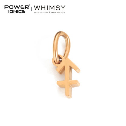 POWER IONICS Creativity Zodiac Pet Love Star Key 316 Stainless Steel Small Pendants Accessories Gifts Fits WHIMSY Series Bracelet Necklace