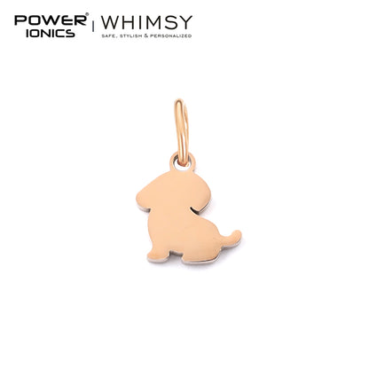 POWER IONICS Creativity Zodiac Pet Love Star Key 316 Stainless Steel Small Pendants Accessories Gifts Fits WHIMSY Series Bracelet Necklace