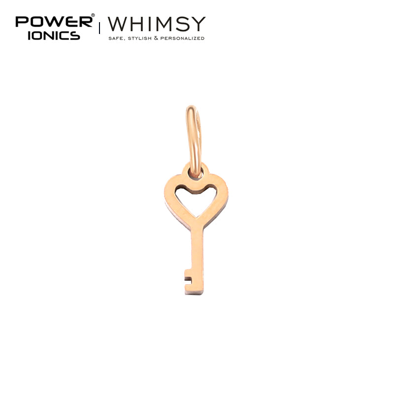 POWER IONICS Creativity Zodiac Pet Love Star Key 316 Stainless Steel Small Pendants Accessories Gifts Fits WHIMSY Series Bracelet Necklace