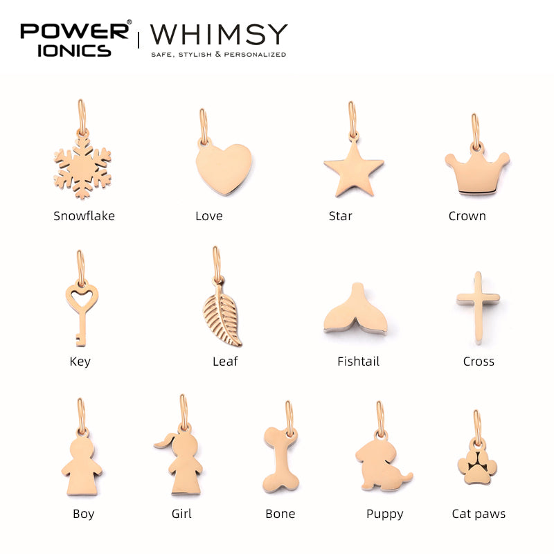 POWER IONICS Creativity Zodiac Pet Love Star Key 316 Stainless Steel Small Pendants Accessories Gifts Fits WHIMSY Series Bracelet Necklace