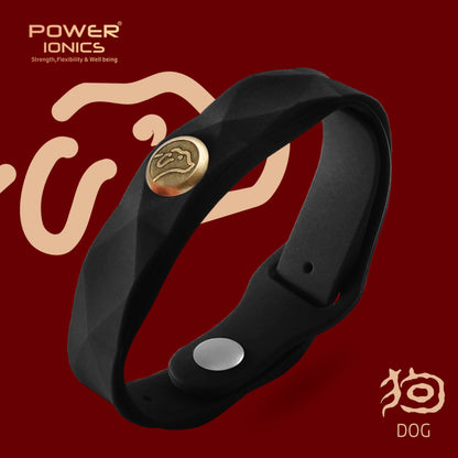 파워 아이오닉스 12 조디악 방수 음이온 스포츠 패션 3000 음이온 팔찌 