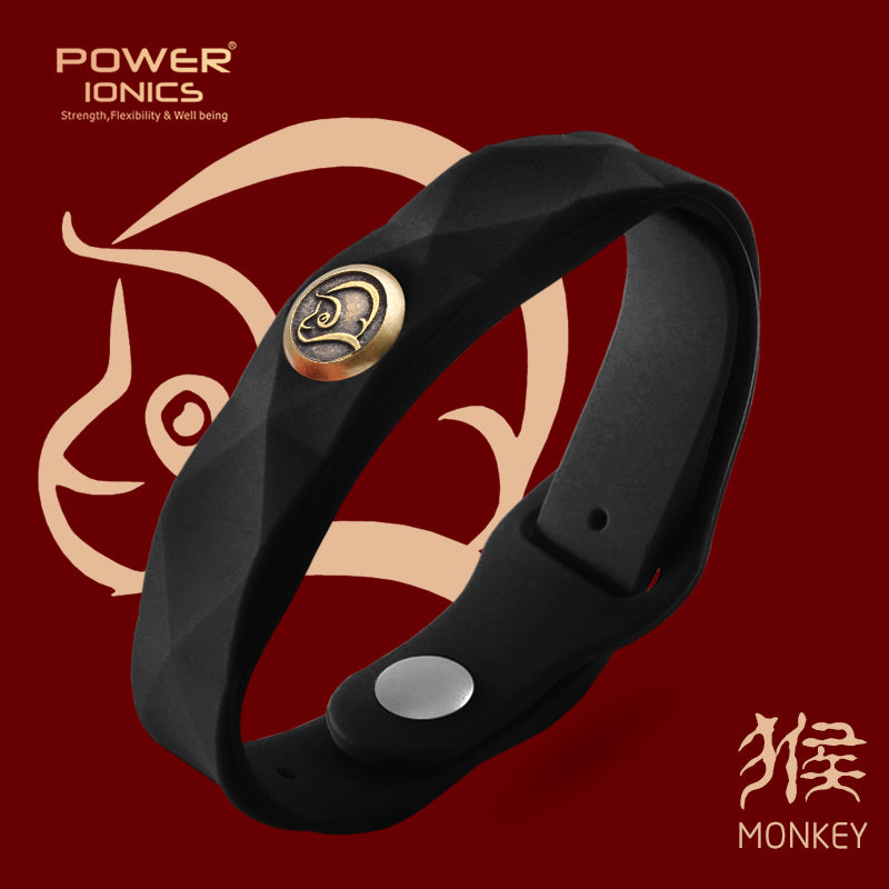 파워 아이오닉스 12 조디악 방수 음이온 스포츠 패션 3000 음이온 팔찌 