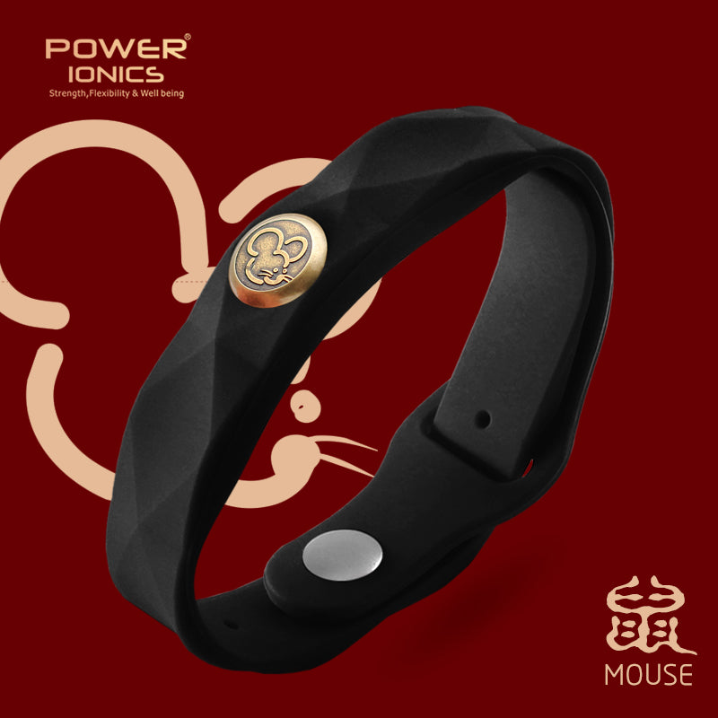 파워 아이오닉스 12 조디악 방수 음이온 스포츠 패션 3000 음이온 팔찌 