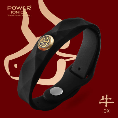 파워 아이오닉스 12 조디악 방수 음이온 스포츠 패션 3000 음이온 팔찌 
