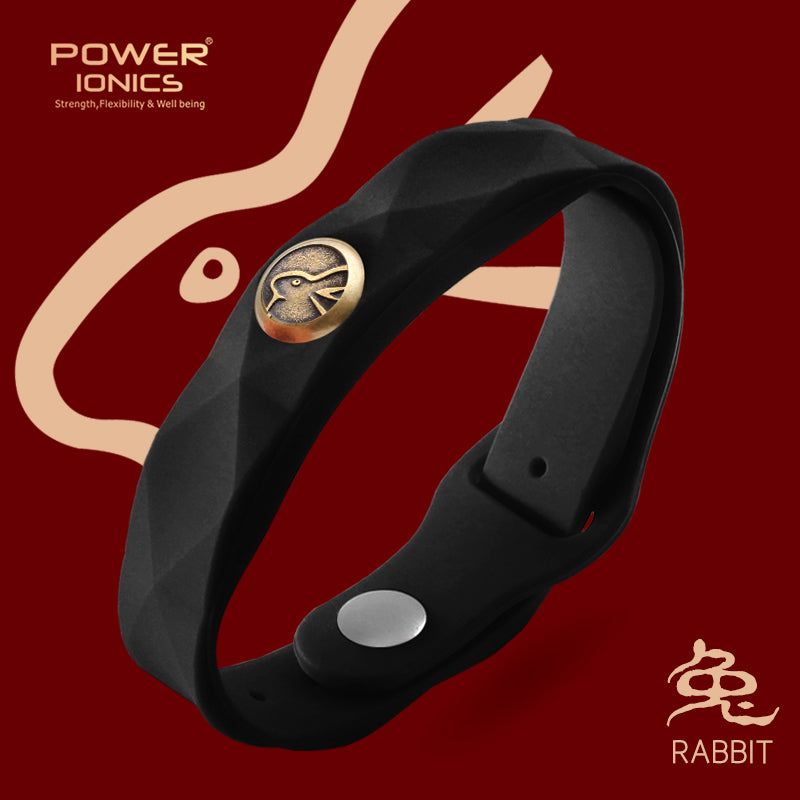 파워 아이오닉스 12 조디악 방수 음이온 스포츠 패션 3000 음이온 팔찌 