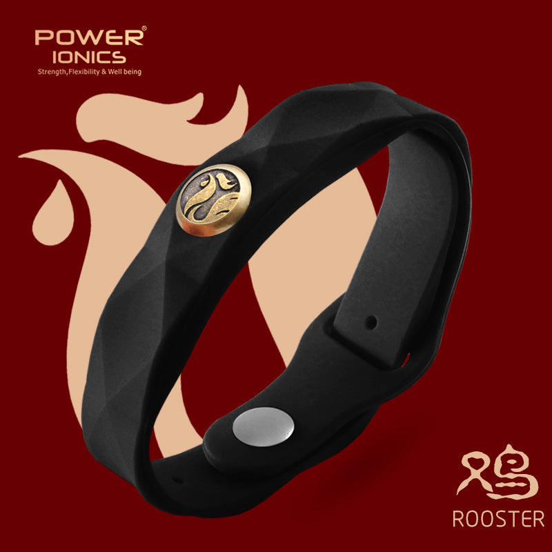 파워 아이오닉스 12 조디악 방수 음이온 스포츠 패션 3000 음이온 팔찌 