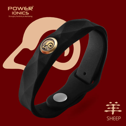 파워 아이오닉스 12 조디악 방수 음이온 스포츠 패션 3000 음이온 팔찌 