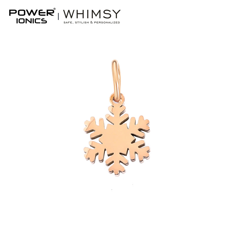 POWER IONICS Creativity Zodiac Pet Love Star Key 316 Stainless Steel Small Pendants Accessories Gifts Fits WHIMSY Series Bracelet Necklace